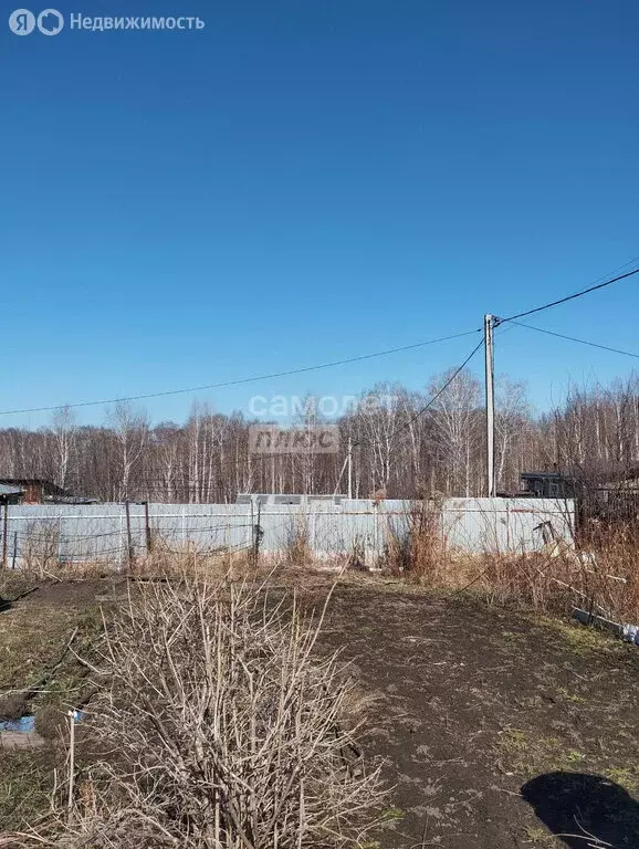 Участок в Бердск, СНТ Ива (6 м) - Фото 0