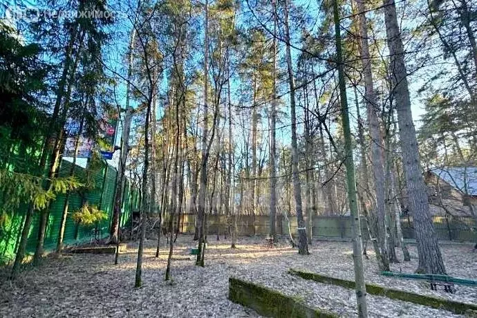 Участок в Одинцовский городской округ, посёлок дачного хозяйства ... - Фото 0