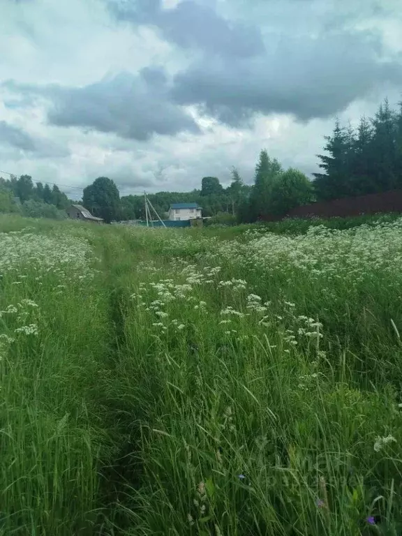 Участок в Московская область, Клин городской округ, д. Степаньково  ... - Фото 2