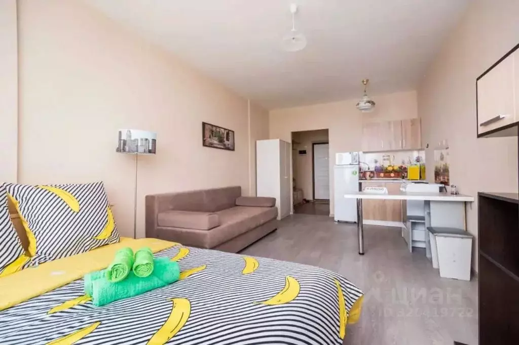 1-к кв. Московская область, Балашиха ул. Лукино, 53А (26.0 м) - Фото 1