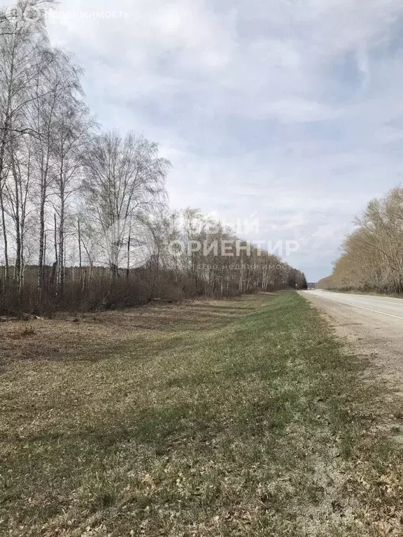 Участок в Свердловская область, Белоярский муниципальный округ (200 м) - Фото 1