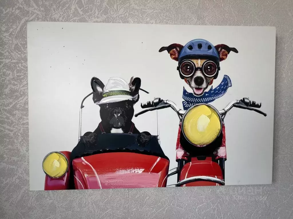 Студия Тюменская область, Тюмень ул. Котовского, 13 (19.7 м) - Фото 2