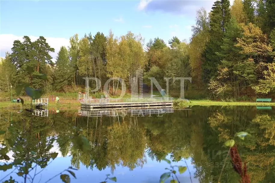 Участок в Московская область, Одинцовский городской округ, пос. дома ... - Фото 2