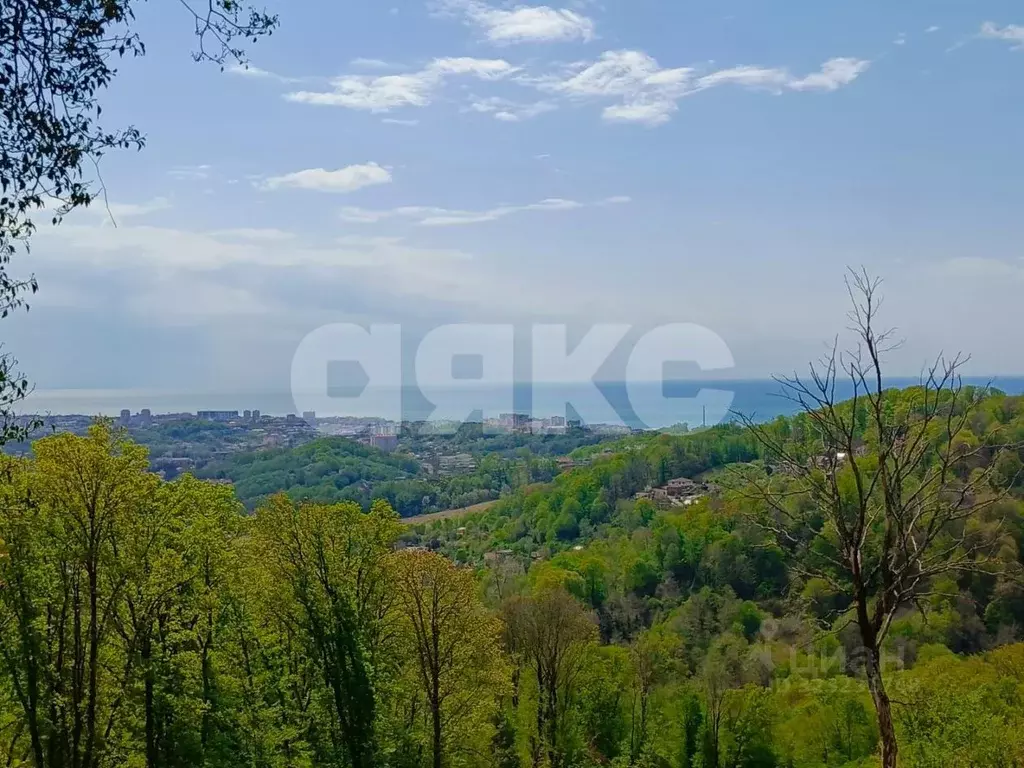 Участок в Краснодарский край, Сочи городской округ, с. Орел-Изумруд ... - Фото 2