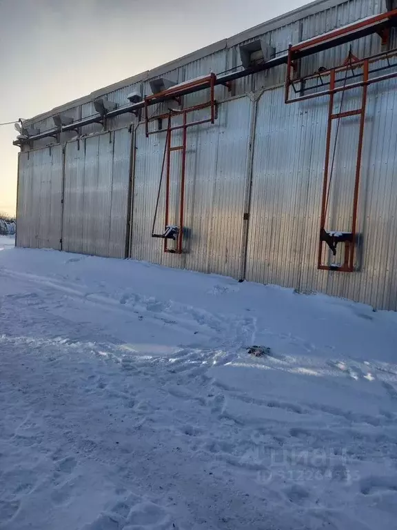 Помещение свободного назначения в Иркутская область, Тайшет ул. ... - Фото 0