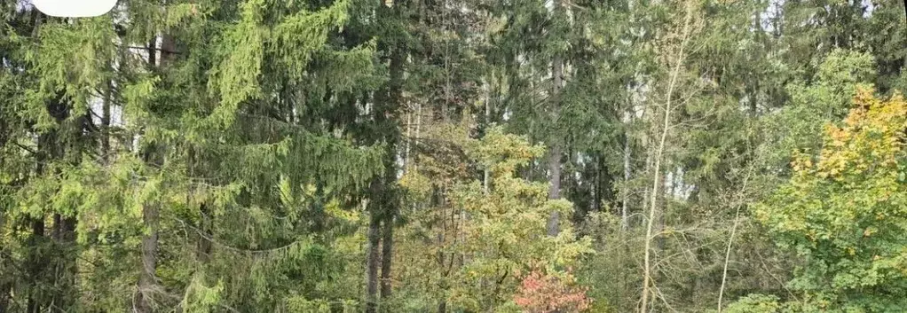 Участок в Московская область, Солнечногорск городской округ, Лесные ... - Фото 2