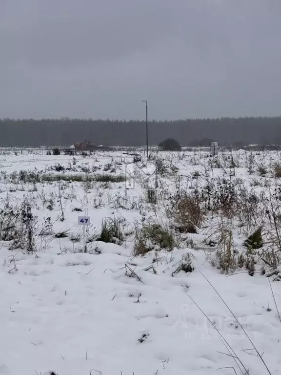 Участок в Ленинградская область, Всеволожский район, Щегловское с/пос, ... - Фото 2