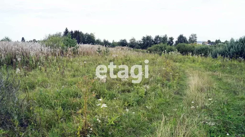 Участок в Свердловская область, Тугулымский муниципальный округ, с. ... - Фото 1