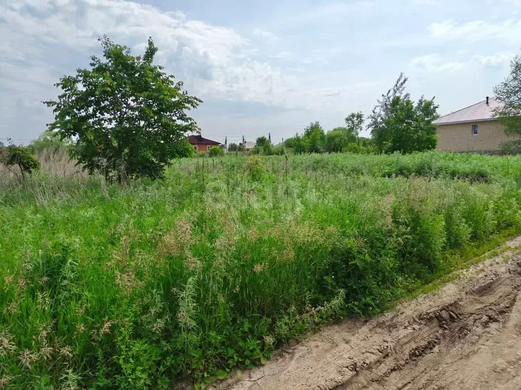 Участок в Амурская область, Благовещенский район, с. Волково  (17.4 ... - Фото 2