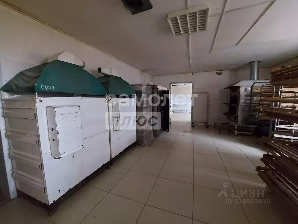 Производственное помещение в Оренбургская область, Илекский район, с. ... - Фото 1