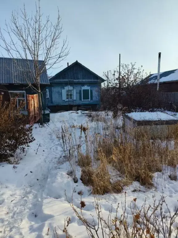 Дом в Амурская область, Свободный Лесная ул., 37 (27 м) - Фото 1