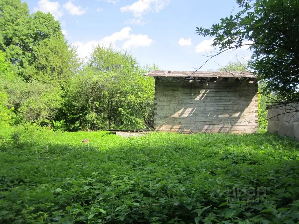 Участок в Тульская область, Алексинский район, с. Фомищево  (30.0 ... - Фото 1