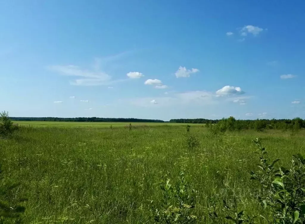 Участок в Ставропольский край, Ставрополь Домостроитель СТ,  (6.0 ... - Фото 1