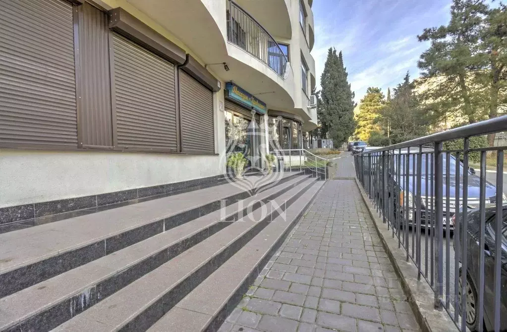 Торговая площадь в Крым, Алушта муниципальный округ, Партенит пгт ул. ... - Фото 2