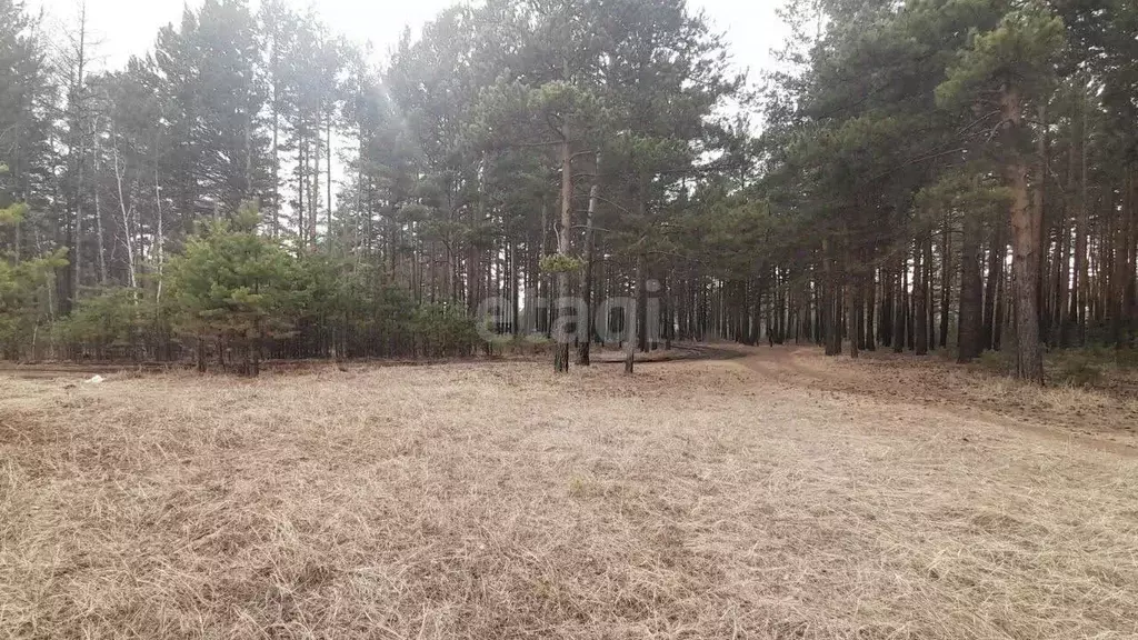 Участок в Забайкальский край, Читинский район, с. Смоленка  (8.2 сот.) - Фото 1
