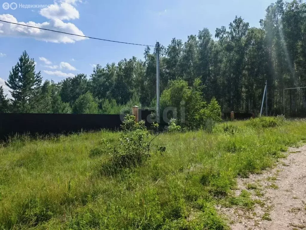 Участок в Миасский городской округ, село Черновское (15 м) - Фото 2