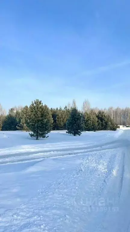 Участок в Томская область, Томский район, Зоркальцевское с/пос, с. ... - Фото 1