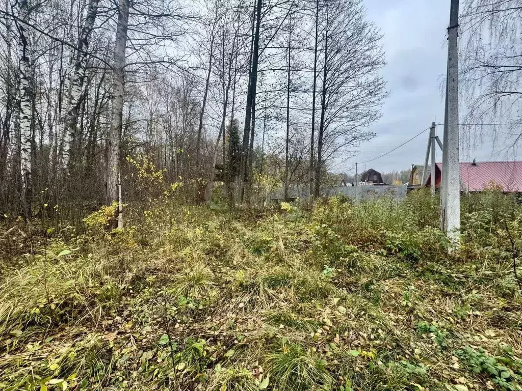 Участок в Владимирская область, Петушинский муниципальный округ, д. ... - Фото 1