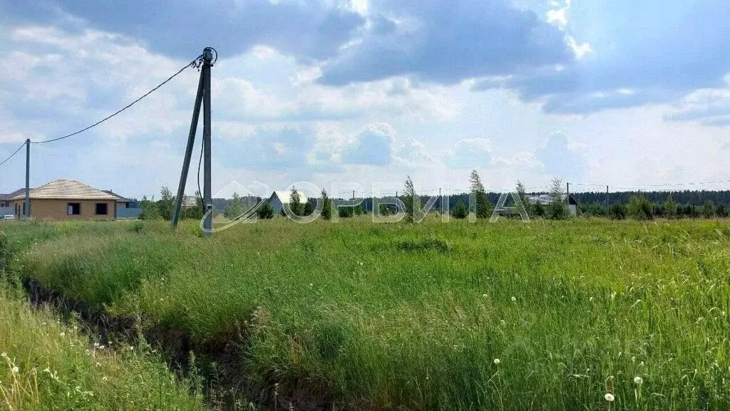 Участок в Тюменская область, Тюменский район, пос. Новотуринский  ... - Фото 1