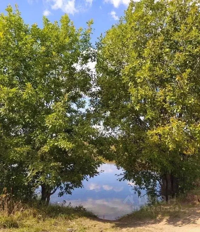 Участок в Ленинградская область, Гатчинский район, Бавария кп  (8.0 ... - Фото 1