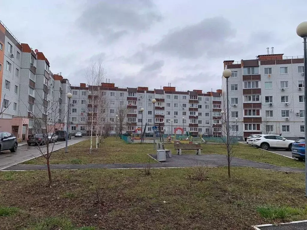 3-к кв. Самарская область, Волжский район, Лопатино с/пос, пос. ... - Фото 2