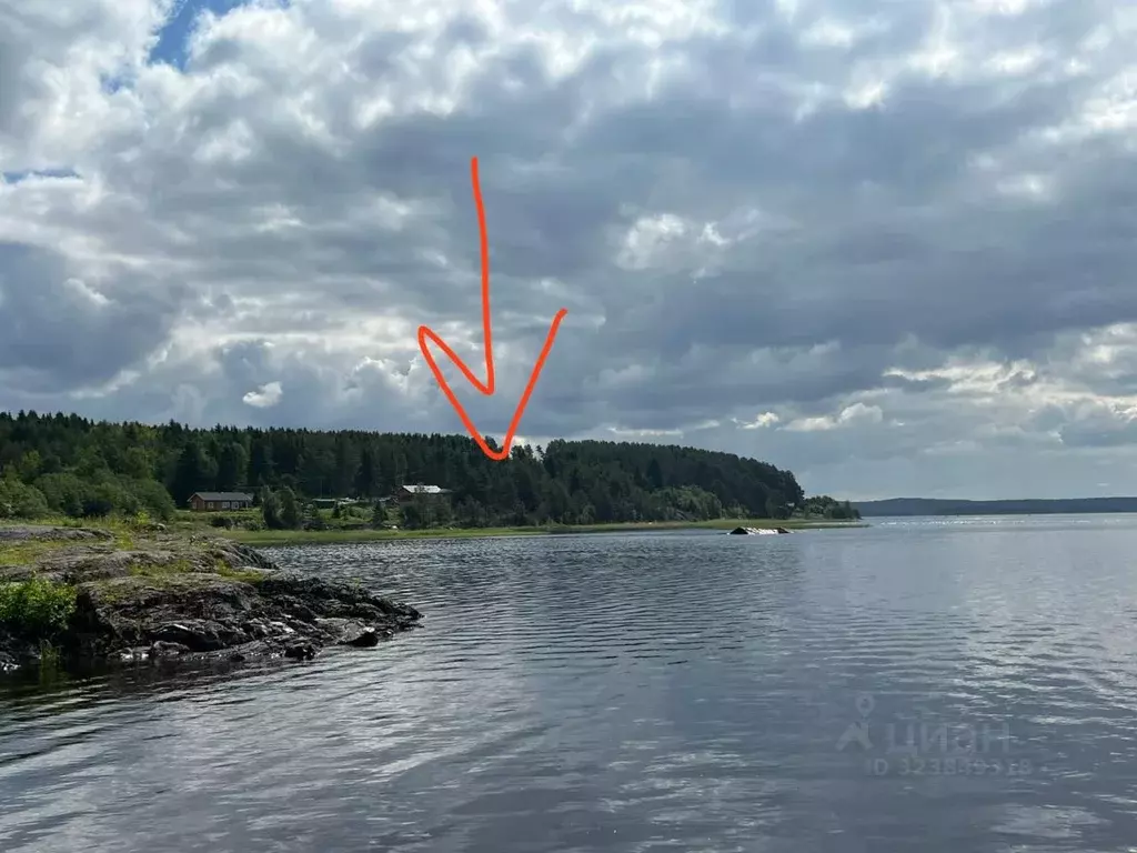 Участок в Карелия, Питкярантский муниципальный округ, д. Хийденсельга  ... - Фото 1