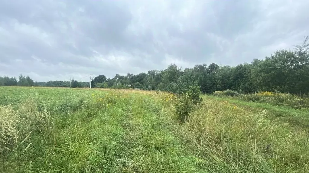 Участок в Московская область, Ступино городской округ, д. Тютьково  ... - Фото 1