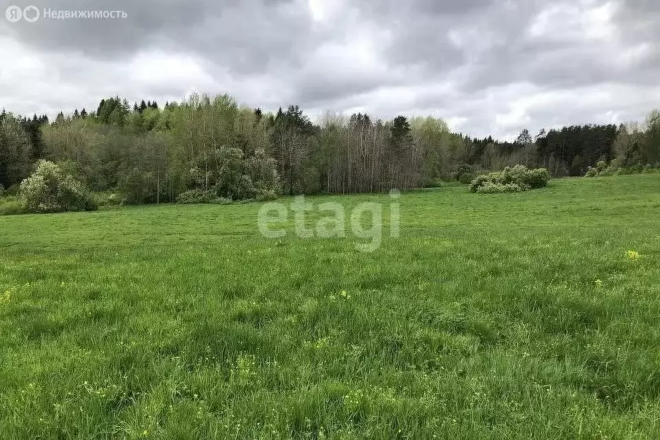 Участок в Пермский муниципальный округ, деревня Ключики (Култаевское ... - Фото 2