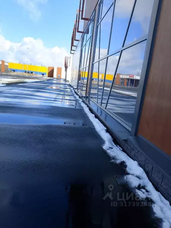 Торговая площадь в Новосибирская область, Новосибирск Бердское ш., 2/3 ... - Фото 1