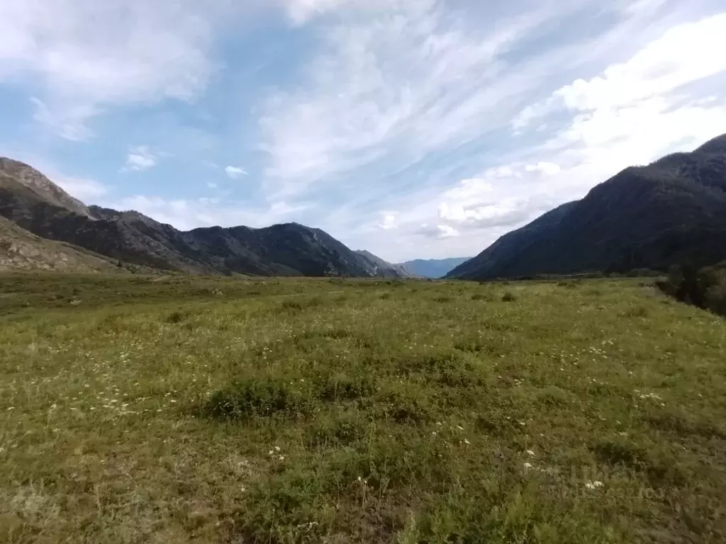 Участок в Алтай, Чемальский район, с. Куюс Центральная ул. (12.0 га.) - Фото 2