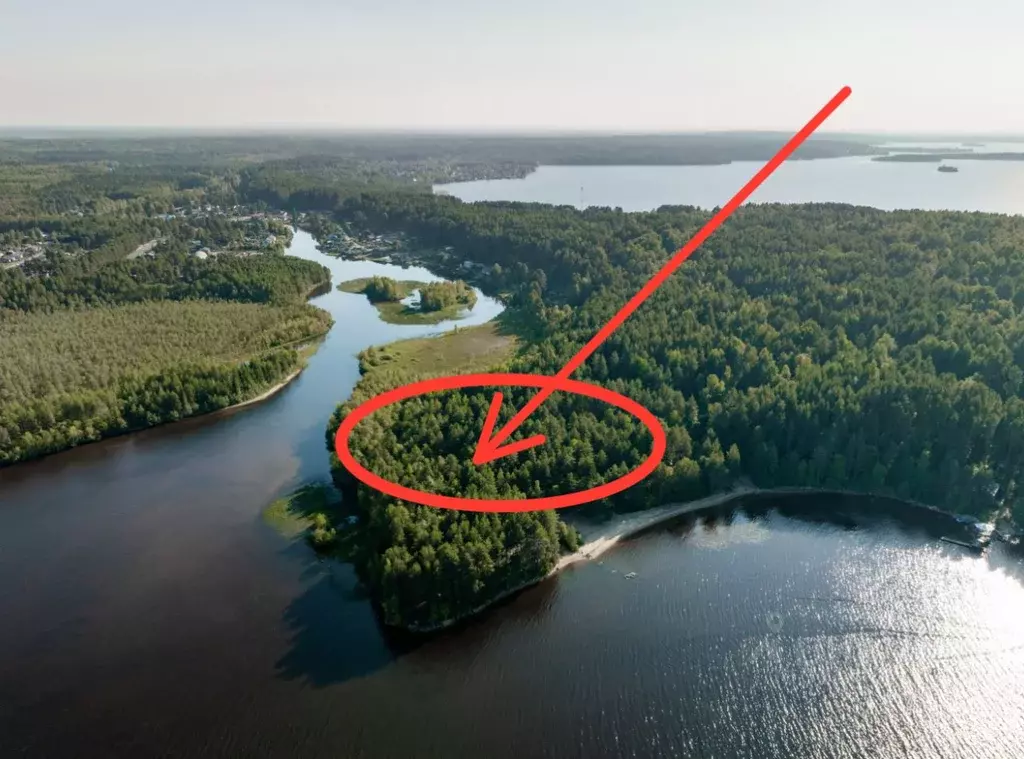 Участок в Карелия, Пряжинский район, Эссойльское с/пос, пос. Сяпся, ... - Фото 1