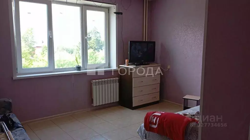 Студия Новосибирская область, Новосибирск ул. Дмитрия Шмонина, 1 (33.0 ... - Фото 1