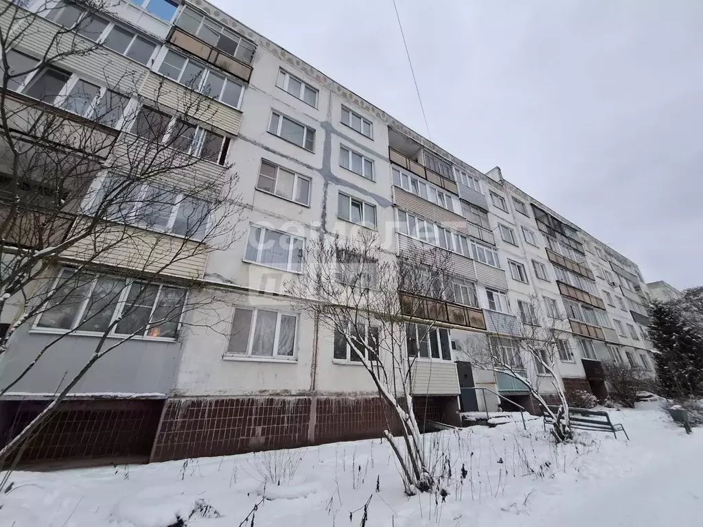 1-к кв. Московская область, Чехов муниципальный округ, пос. Любучаны ... - Фото 2