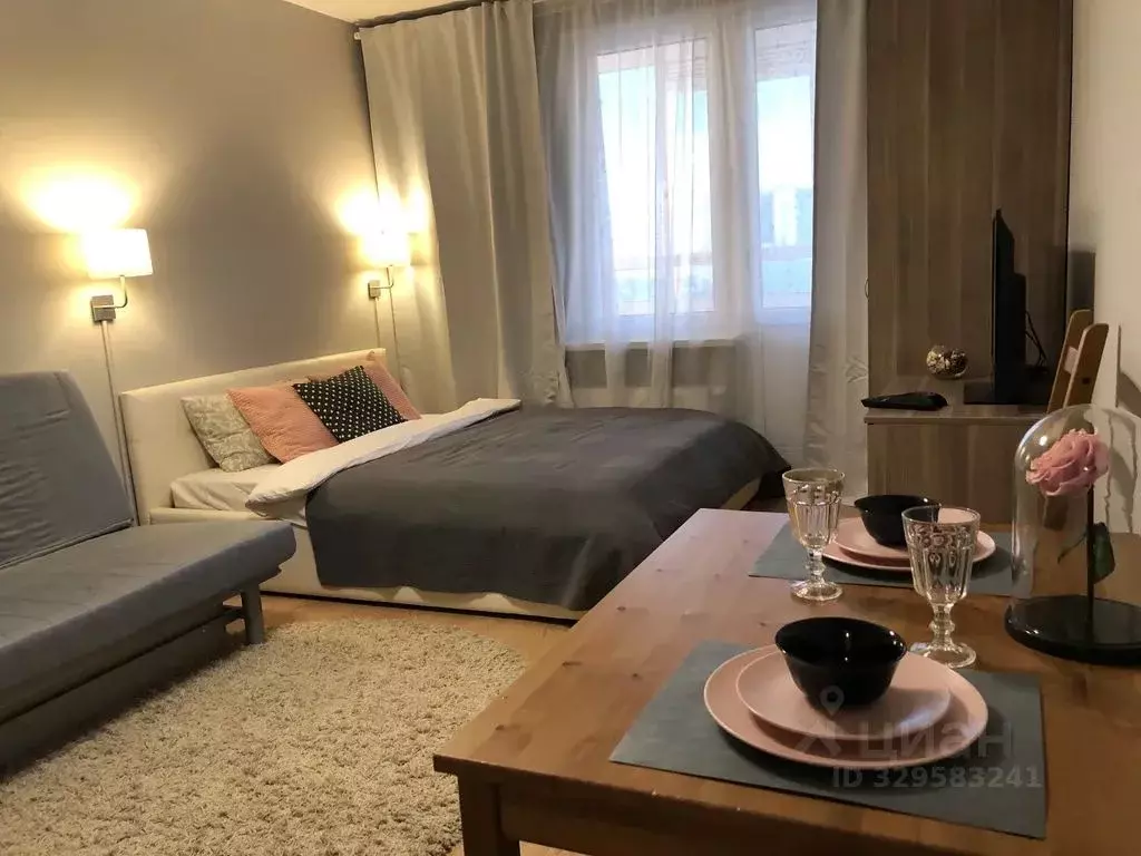 Студия Санкт-Петербург просп. Энергетиков, 9к3 (27.0 м) - Фото 1