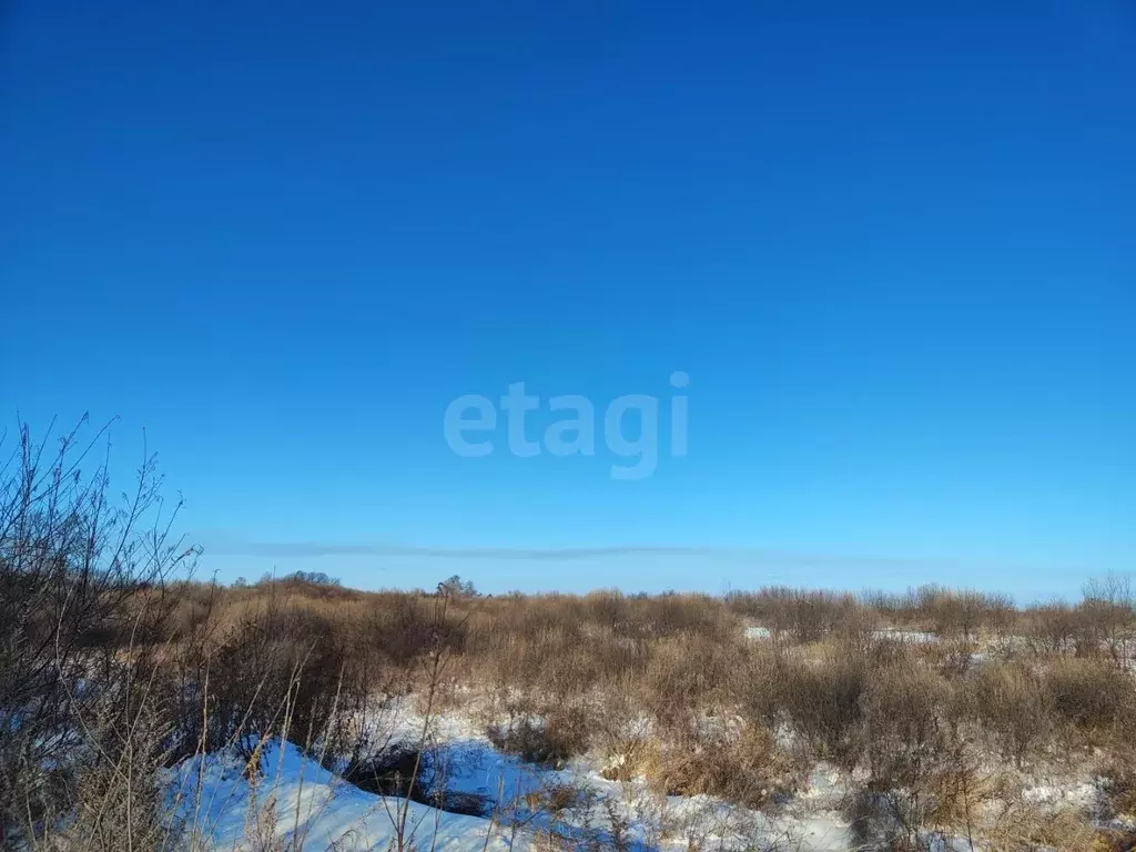 Участок в Амурская область, Благовещенск Бирюза тер., ул. Амурская ... - Фото 1