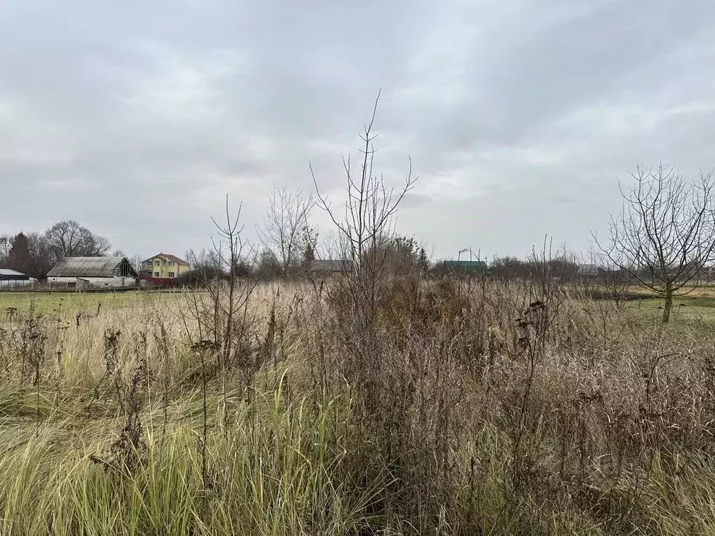 Участок в Московская область, Серебряные Пруды муниципальный округ, д. ... - Фото 1