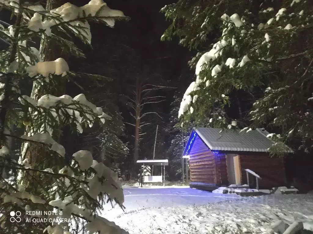 Дом в Карелия, Прионежский район, Деревянское с/пос, д. Уя ул. Дачная, ... - Фото 2