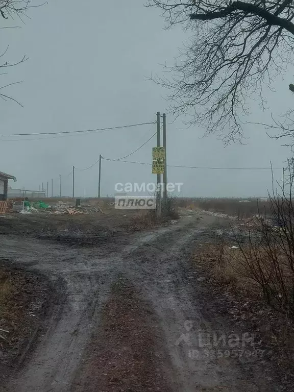 Участок в Курская область, Курский район, Клюквинский сельсовет, д. ... - Фото 1