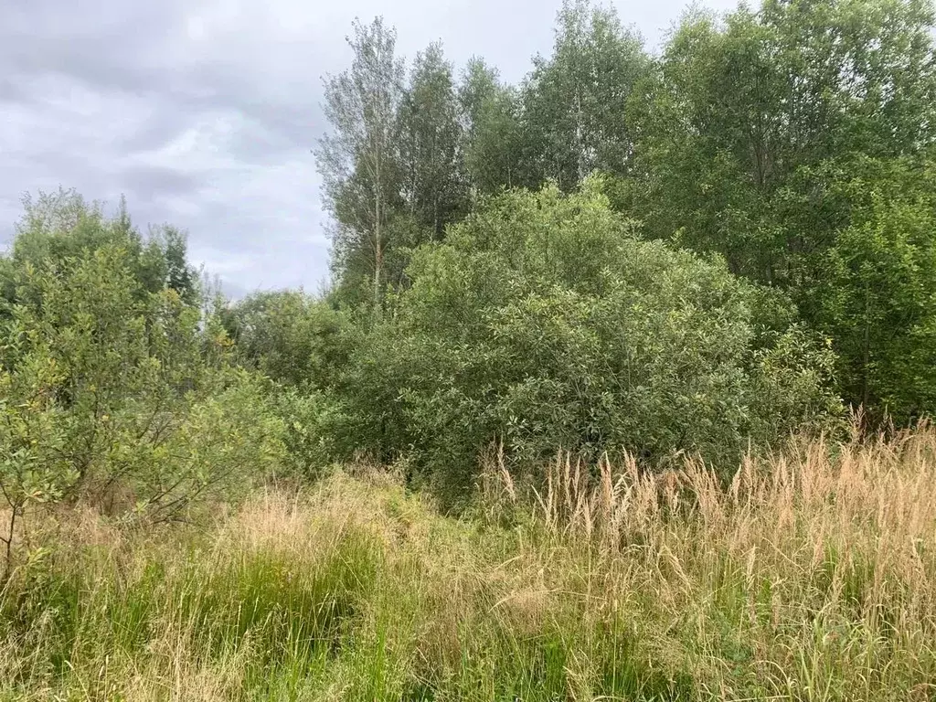 Участок в Московская область, Истра ул. Ленина, Река Истра (9.99 сот.) - Фото 1