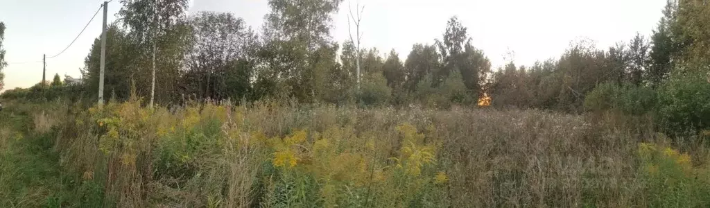 Участок в Владимирская область, Камешковский муниципальный округ, д. ... - Фото 1