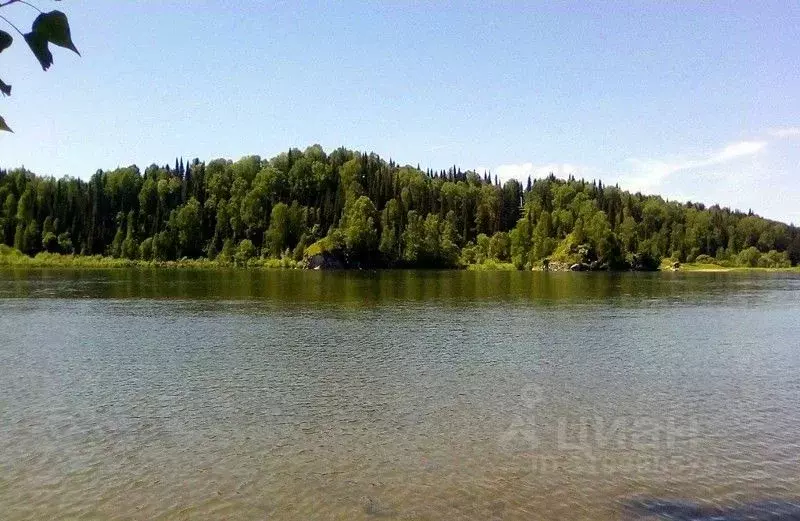 Участок в Алтай, Турочакский район, с. Озеро-Куреево Центральная ул., ... - Фото 0