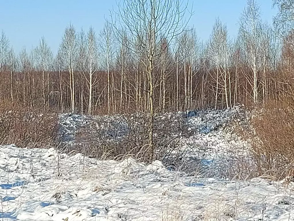 Участок в Нижегородская область, Дивеевский муниципальный округ, с. ... - Фото 1