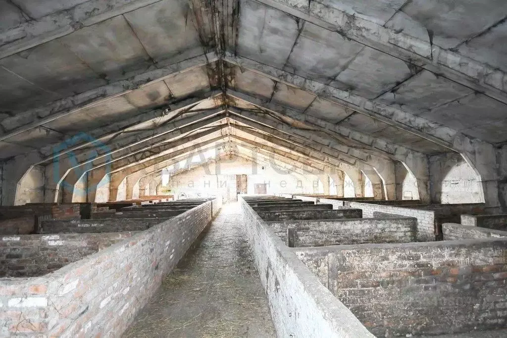 Производственное помещение в Омская область, Омский район ... - Фото 1