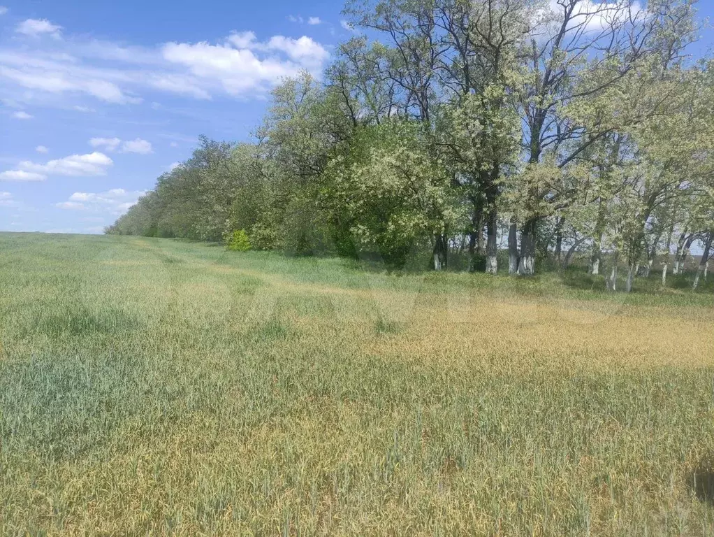 Участок 6,4 га (СНТ, ДНП) - Фото 0