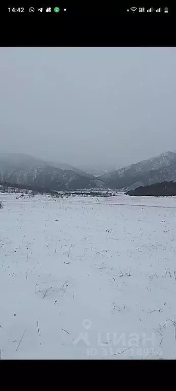 Участок в Алтай, Чемальский район, Элекмонарское с/пос, с. Элекмонар  ... - Фото 0