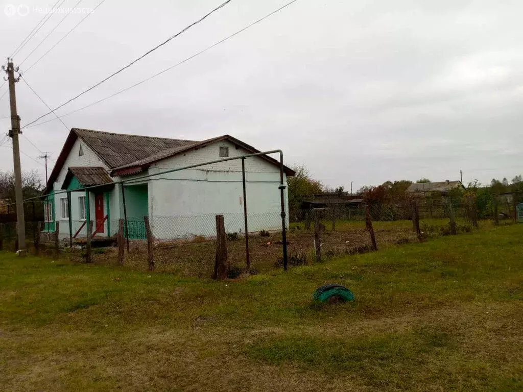 Дом в Дмитровский район, деревня Дружно (106 м) - Фото 1