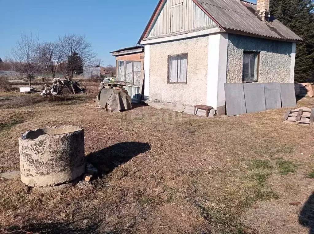 Участок в Приморский край, Надеждинский район, с. Вольно-Надеждинское ... - Фото 0