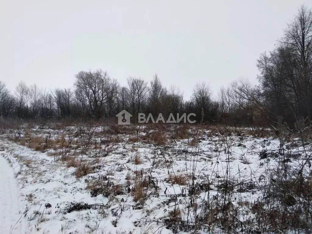 Участок в Московская область, Зарайск городской округ, д. Малые ... - Фото 0