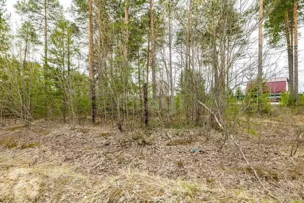 Участок в Ханты-Мансийский АО, Сургутский район, Барсово городское ... - Фото 0