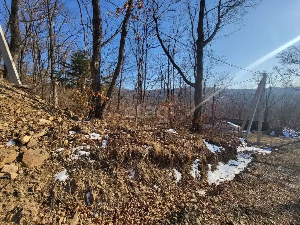 Участок в Приморский край, Владивосток Яблоневая ул. (12.0 сот.) - Фото 2